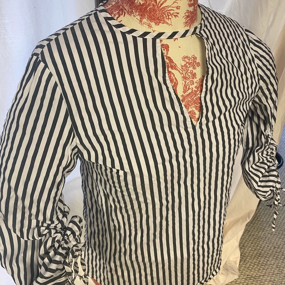 Express Shirt - Picture 3 of 3